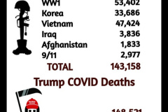 20200801-trump-war-covid-deaths