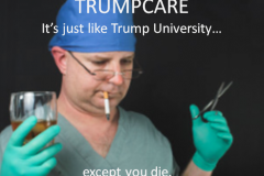 20200801-trumpcare