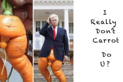 20200802-trump-carrot