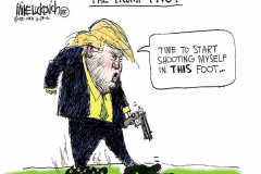 20200802-trump-pivot