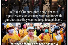 20200802-trumps-america