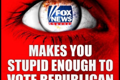 20200803-fox-makes-you-stupid