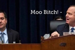 20200805-nunes-moo-bitch