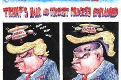 20200807-trump-thought-proess