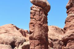 20200810-trump-rushmore-alternative