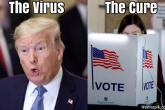 20200818-trump-cure