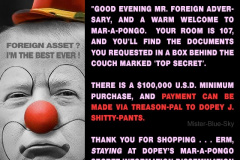 20200830-nar-a-pongo