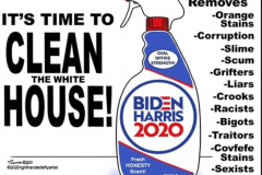 20201005-clean-the-house