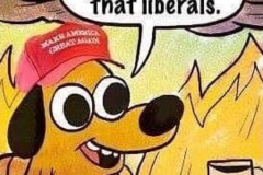 20201005-take-that-liberals