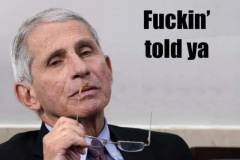 20201007-fauci-told-ya