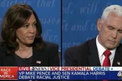 20201008-debate-fly