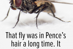 20201009-fly
