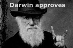 20201015-darwin-approves