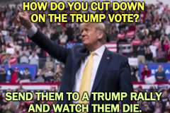 20201015-how-to-cut-trump-vote