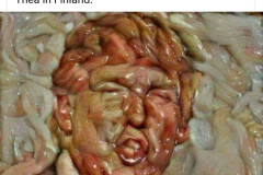 20201015-trump-pig-guts