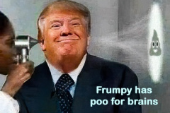 20201015-trump-poo-for-brains