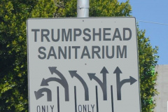 20201015-trumpshead-sanitarium