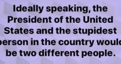 20201016-stupedest-person