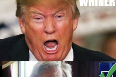 20201018-bannon-wino