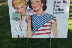 20201018-grab-him-by-the-ballot