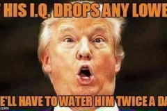20201018-trump-iq