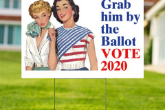 20201019-grab-him-by-the-ballot