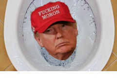 20201019-trump-flushing-2