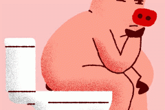 20201019-trump-pig-toilet-anim