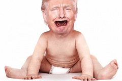20201020-trumper-tantrum