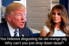 20201027-trumpmelania-wish