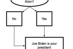 20201112-did-you-vote