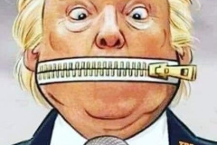 20201114-trump-stfu