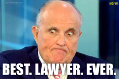 20201115-best-lawyer-ever