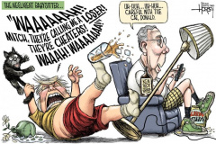 20201116-negligent-babysitter