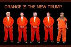 20201119-orange