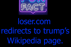 20201122-losercom