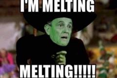 20201122-melting