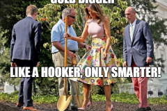 202011278-gold-digger