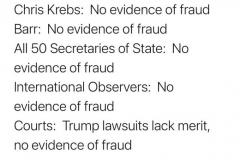 20201208-no-fraud