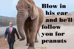 20201219-blow-in-his-ear