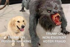 20201219-trump-dogs