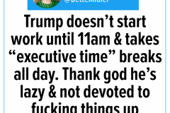 20201224-trump-middler-work-breaks