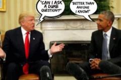 20210101-dumb-question