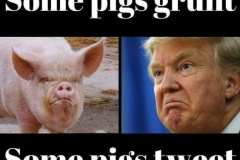 20210104-grunt-tweet