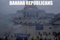 20210107-banana-republicans