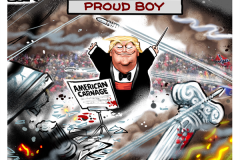 20210108-proud-boy