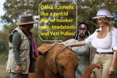 20210109-melania-elephant-rancid-smell