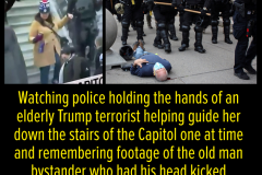 20210110-maga-vs-blm