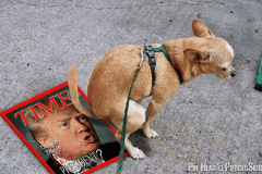 20210126-dog-shit-on-trump
