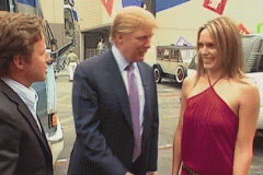 20210205-trump-knockdown